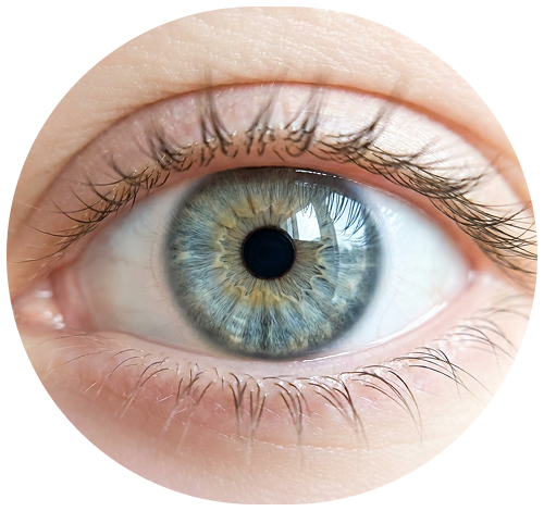 Helios Vision Hero Image